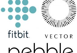 Fitbit - Pebble - Vector