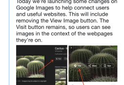 Google Images button announcement