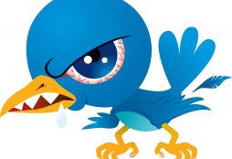 Angry Twitter bird (IMAGE CREDIT: Unknown)
