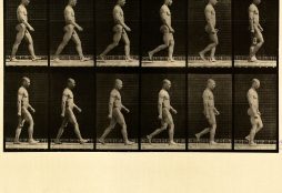 Human locomotion (Public Domain)