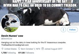 Devin Nunes' cow