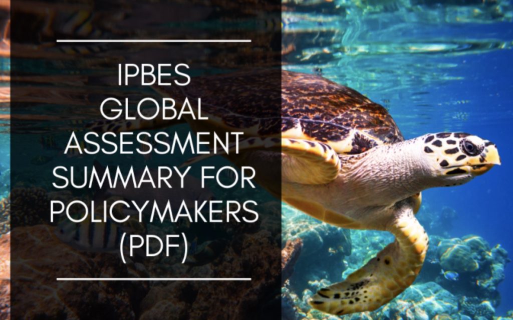 Intergovernmental Science-Policy Platform on Biodiversity and Ecosystem Services (IPBES)