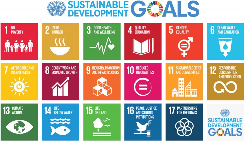 Sustainable Development Goals (IMAGE: United Nations)