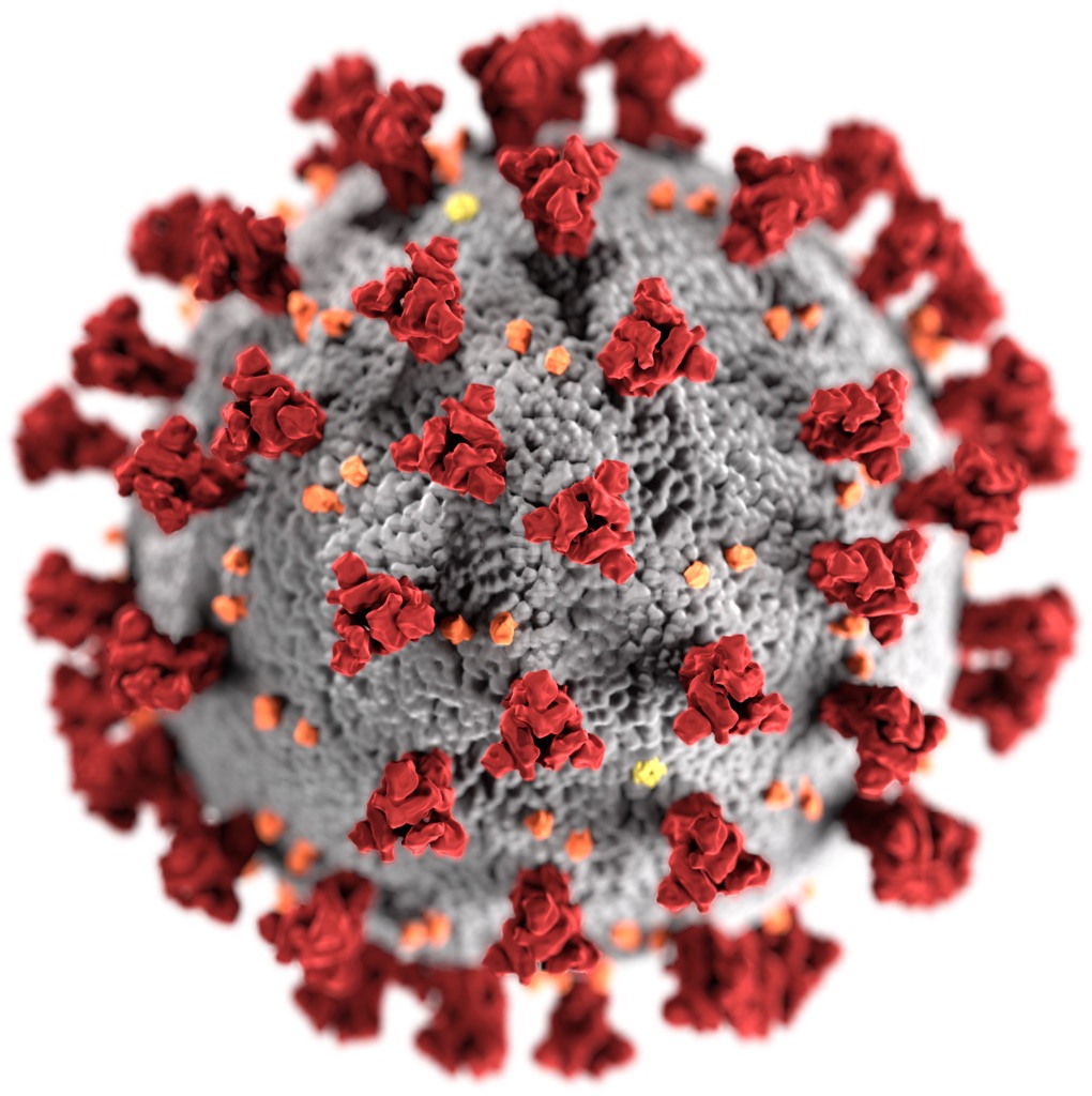 IMAGE: SARS-CoV-2, CDC / Alissa Eckert, MS; Dan Higgins, MAM - Public Domain