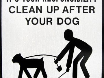 IMAGE: Dog waste - DASonnenfeld (CC BY SA)