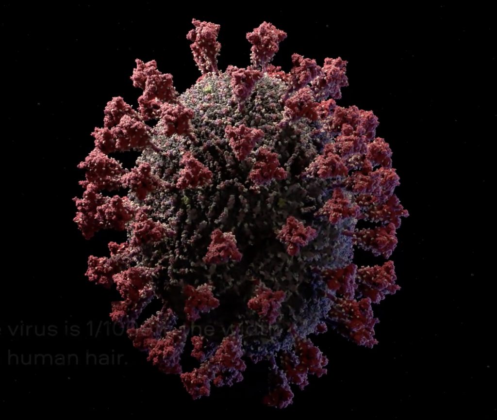 IMAGE: 3D model of the SARS-CoV-2 virus at atomic resolution (Visual Science) - 
https://vimeo.com/417208044