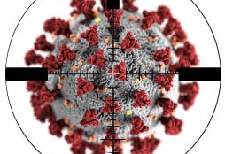 IMAGE: Coronavirus on crosshair