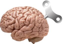 IMAGE: Brain with a windup key