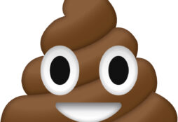 IMAGE: Pile of poo emoji