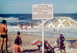 IMAGE: A UN photo depicting a sign on a beach that designates an area for whites only